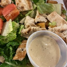 Grilled chicken Caesar salad. Fresh veggies - bland chicken Grilled chicken Caesar salad. Fresh veggies - bland chicken