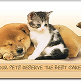 Veterinary Associates of the Bluefields - Veterinarians Near Me - Bluefield, West Virginia Veterinary Associates of the Bluefields - Veterinarians Near Me - Bluefield, West Virginia
