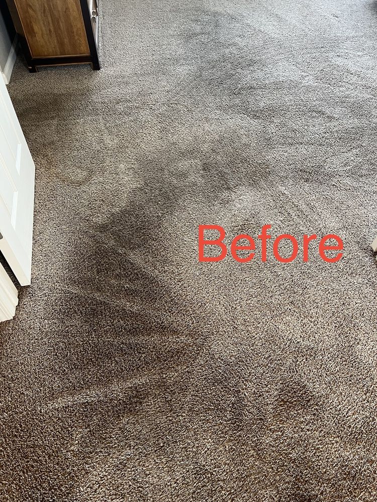 CLASSIC CARPET CLEANING 112 Photos & 56 Reviews Roseville