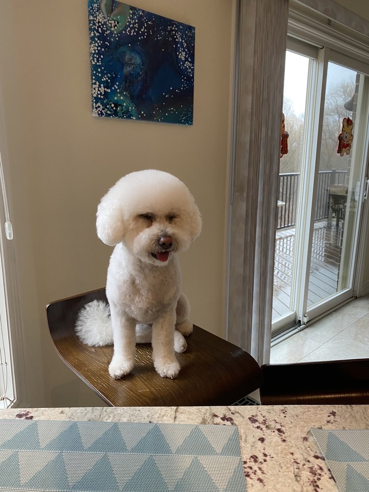 THE GROOM ROOM Updated October 2024 57 Photos & 13 Reviews 138B