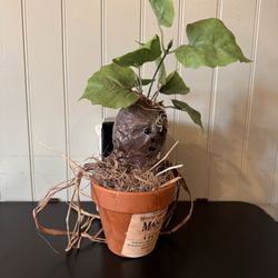 June's Place - Decor