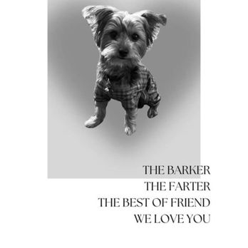 Exotic Paws - Attack by another dog at the daycare - Pet Boarding Near Me Exotic Paws - Attack by another dog at the daycare - Pet Boarding Near Me