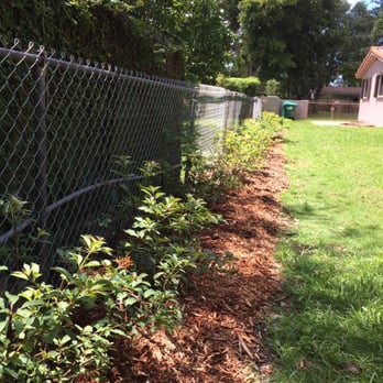 Knoll Landscape Design - Growing great one month after planting! - Landscaping Near Me Knoll Landscape Design - Growing great one month after planting! - Landscaping Near Me