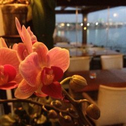 Nar Beach & Bistro - Nar Beach & Bistro