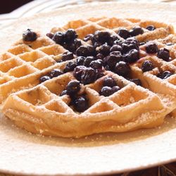 Original Pancake House - Blueberry waffle