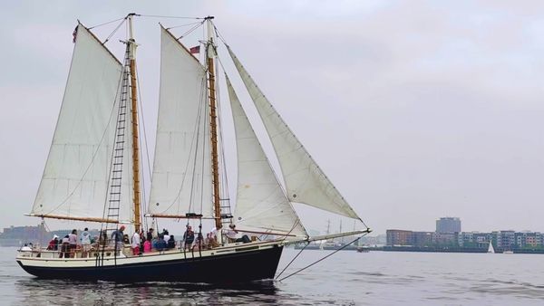 Liberty Fleet of Tall Ships Boston by null