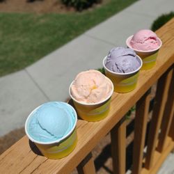 The Creamery at Daddy Joe's - Single Scoops