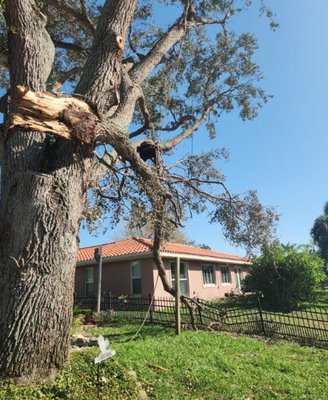 Emergency Tree Services You Can Trust - When storms strike or unexpected tree hazards arise, Quality Roots Tree Service is here to provide fast and reliable emergency tree services. With 17 years of experience, our skilled team specializes in safe tree removal, trimming, and stump grinding to address urgent situations for both residential and commercial properties. As a trusted local business, we’re committed to delivering exceptional customer service, ensuring your property is protected and restored quickly. Whether it’s a fallen tree or a dangerous limb, Quality Roots Tree Service is available to handle emergencies with expertise and care. Emergency Tree Services You Can Trust - When storms strike or unexpected tree hazards arise, Quality Roots Tree Service is here to provide fast and reliable emergency tree services. With 17 years of experience, our skilled team specializes in safe tree removal, trimming, and stump grinding to address urgent situations for both residential and commercial properties. As a trusted local business, we’re committed to delivering exceptional customer service, ensuring your property is protected and restored quickly. Whether it’s a fallen tree or a dangerous limb, Quality Roots Tree Service is available to handle emergencies with expertise and care.