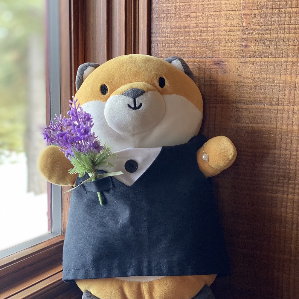 Project Funway - A costume for her stuffed animal - Specialty Schools Near Me - Los Gatos, California Project Funway - A costume for her stuffed animal - Specialty Schools Near Me - Los Gatos, California