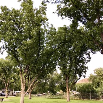 Pioneer Park - Parks Near Me - Hurricane, Utah