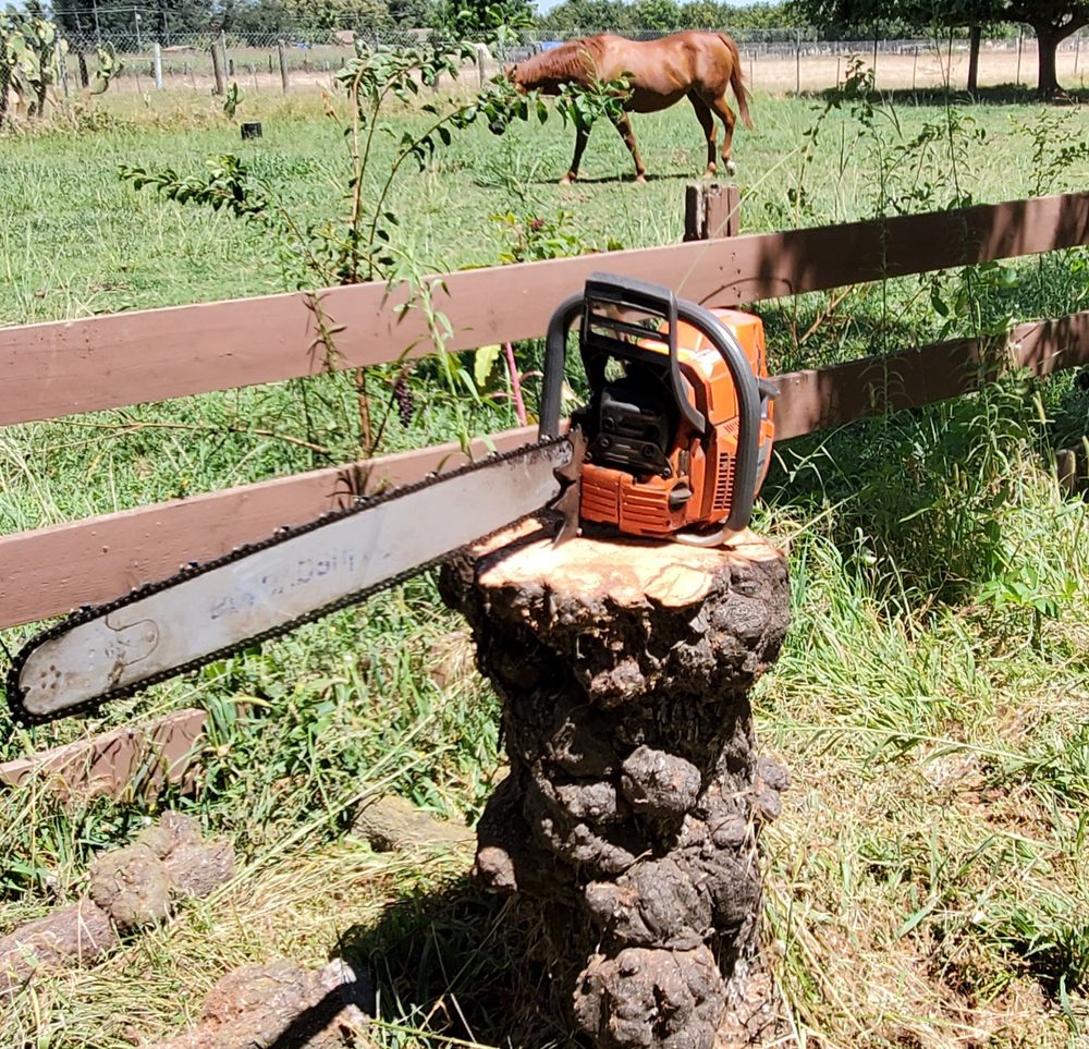 CLARK AND SONS Updated July 2024 17 Reviews 1611 Starr Dr, Yuba