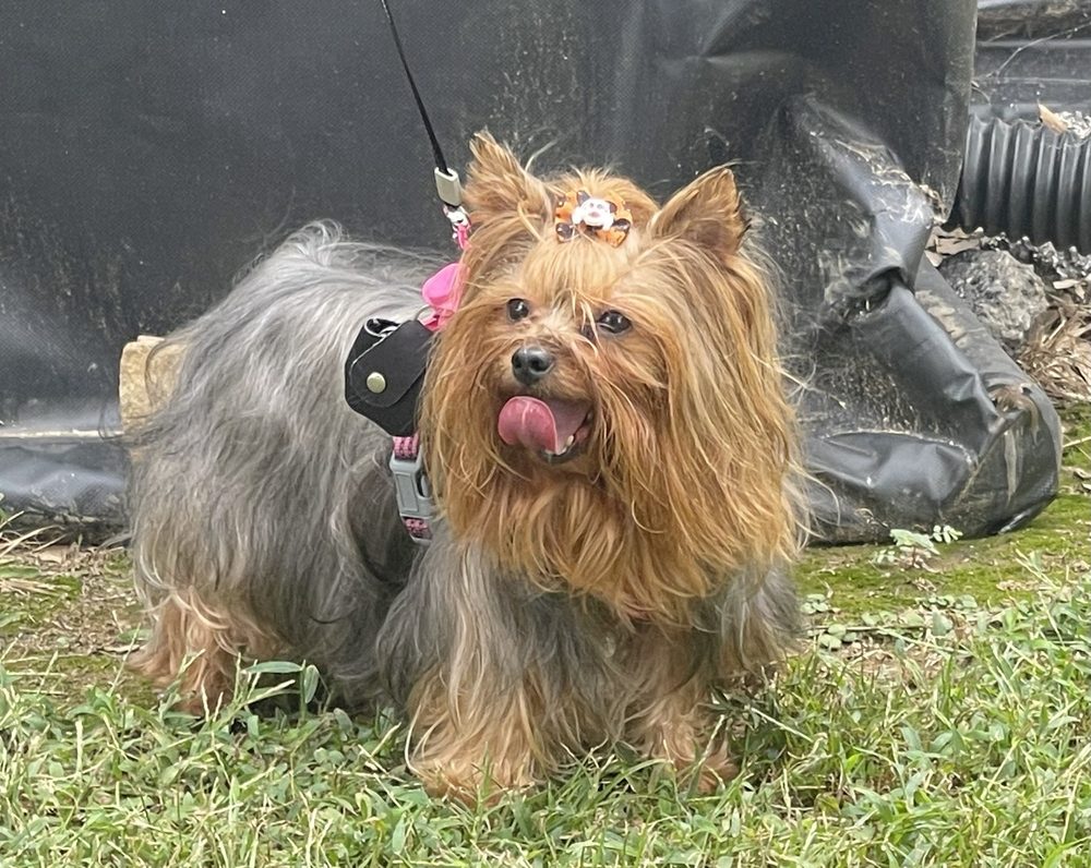 o Jupiter Florida Real Estate For Sale