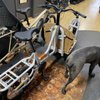 Bicycle Therapy gift card