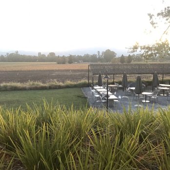 Mumm Napa - Beautiful view - Wine Tasting Room Near Me - Rutherford, California Mumm Napa - Beautiful view - Wine Tasting Room Near Me - Rutherford, California