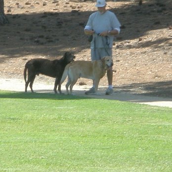 Gladstone Park - puts dogs on leash after seeing me take photos - Parks Near Me - Glendora, California Gladstone Park - puts dogs on leash after seeing me take photos - Parks Near Me - Glendora, California