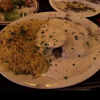 Al Bawadi Grill - Kufta Casserole with Tahini - Mediterranean Near Me - Bridgeview, Illinois Al Bawadi Grill - Kufta Casserole with Tahini - Mediterranean Near Me - Bridgeview, Illinois