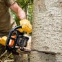 Photo of Affordable Tree Trimming and Removal