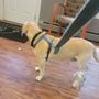 Photo of Cumberland Animal Hospital