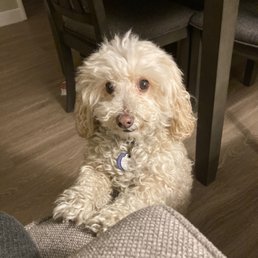 This is my buddy Louie