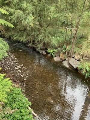 Healesville Sanctuary (Zoos Victoria) by null