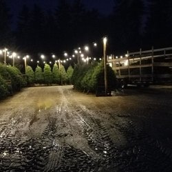 Great View Landscape - Christmas Trees for sale, grown in NH