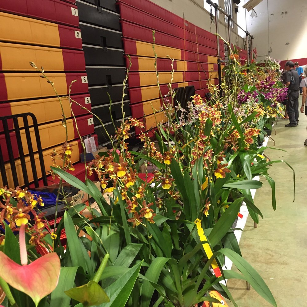 King Intermediate School - Middle Schools & High Schools Near Me - Kaneohe, Hawaii