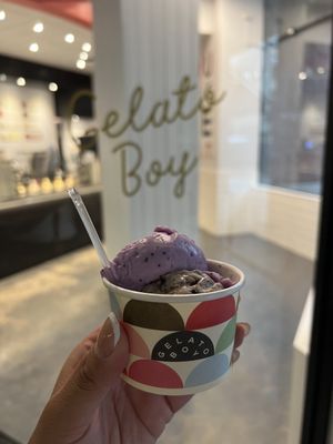 Gelato Boy by null