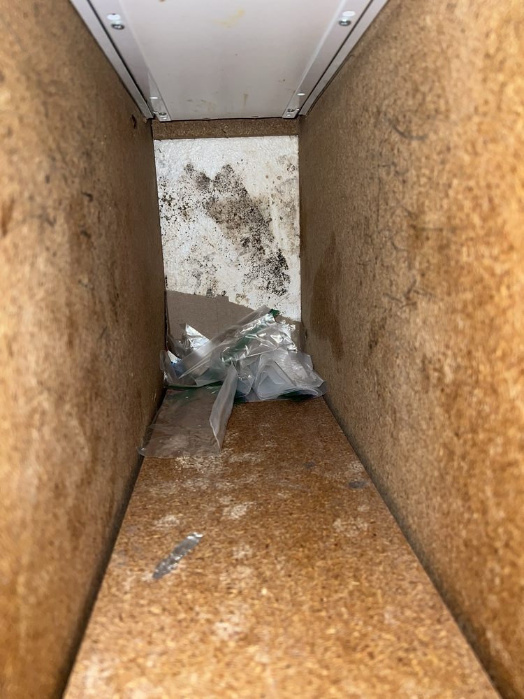 Mold Solutions SoCal - mold inspector in Montrose, CA