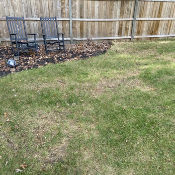Cerami Lawns - a chair and a tree - Gardeners Near Me - Toms River, New Jersey