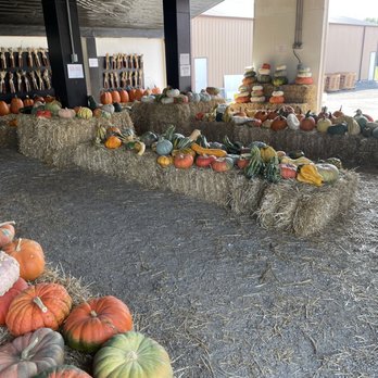 Pumpkins And More Farm Market - Farmers Market Near Me - Ferdinand, Indiana Pumpkins And More Farm Market - Farmers Market Near Me - Ferdinand, Indiana