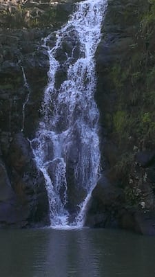 Waimea Valley by null