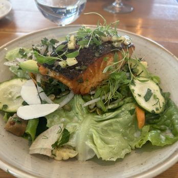 TAVERNA - Salmon Salad - Greek Near Me - Palo Alto, California