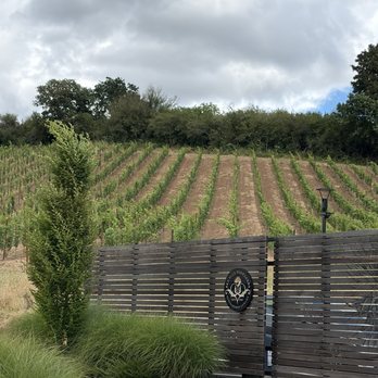 Rex Hill Vineyards-Winery - Vineyard - Wineries Near Me - Newberg, Oregon