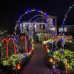 Christmas Tree Lane
