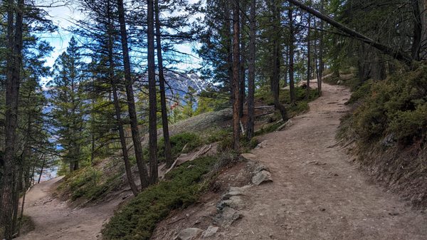 Tunnel Mountain Trail by null
