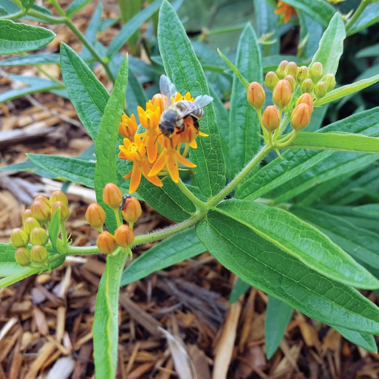 Slide of Kes Equipment & Sales