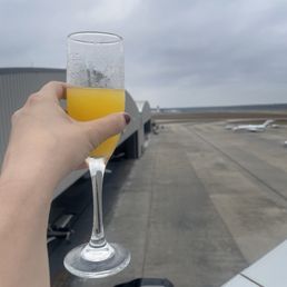 Mimosa