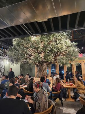 Ayat Astoria by null