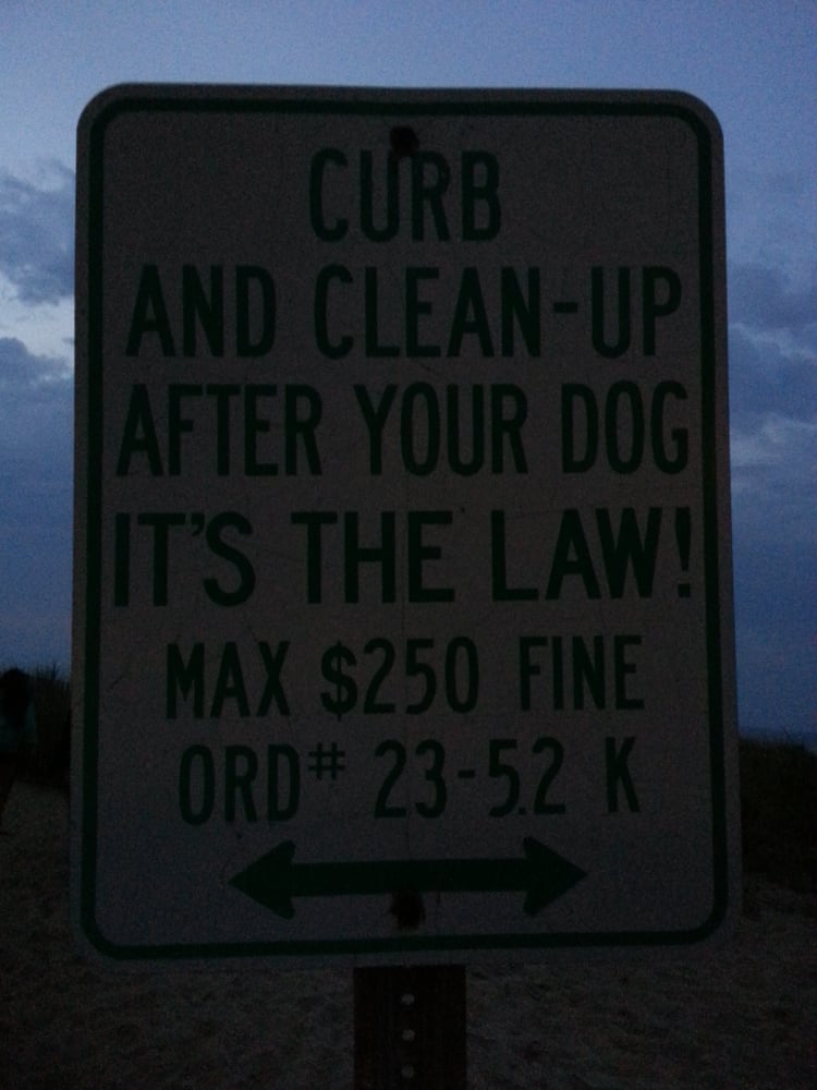 82nd Street Dune Crossing Logo