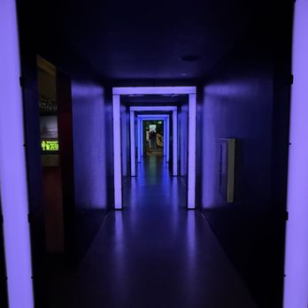 Meow Wolf - Venues & Event Spaces Near Me - Denver, Colorado