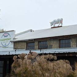 Harmony Valley Creamery