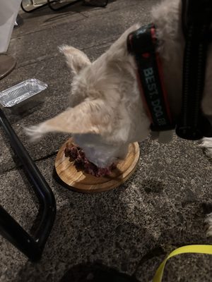 Barcelona Wine Bar by null