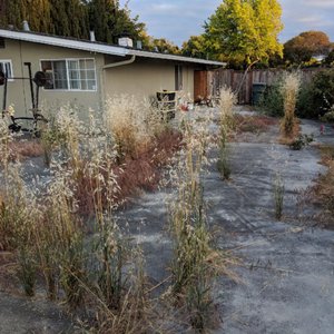 THE BEST 10 Gardeners in San Jose, CA - Last Updated July 2021 - Yelp