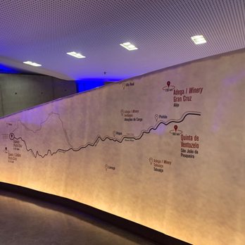 Porto Cruz - Wineries Near Me - Vila Nova de Gaia, 13