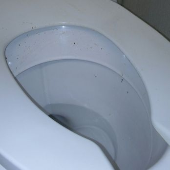 Big Lots - More feces and mold - Department Stores Near Me - Jacksonville, Florida