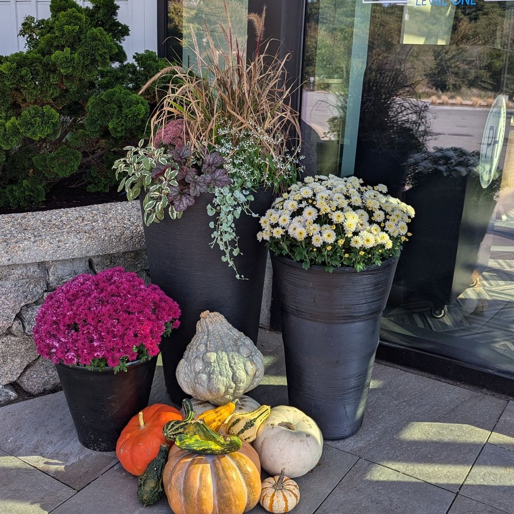Pelham House Resort - Fall decorations out front of restaurant area - Hotels Near Me - Dennis Port, Massachusetts Pelham House Resort - Fall decorations out front of restaurant area - Hotels Near Me - Dennis Port, Massachusetts