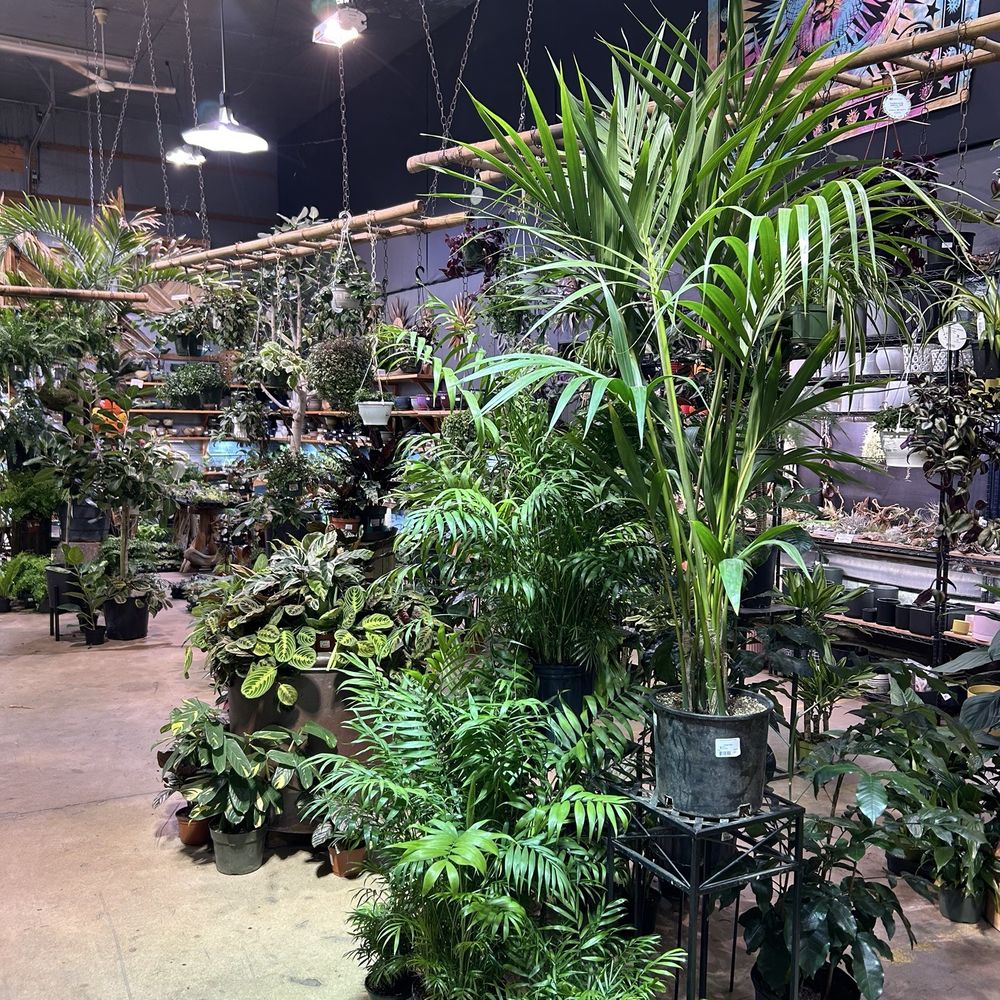 Indoor Sun Shoppe - Nurseries & Gardening Near Me - Seattle, Washington Indoor Sun Shoppe - Nurseries & Gardening Near Me - Seattle, Washington