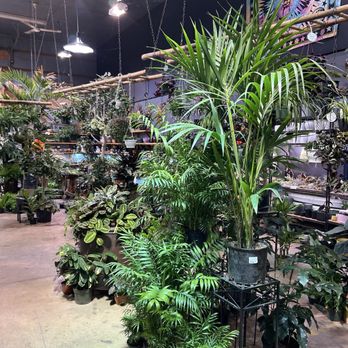 Indoor Sun Shoppe - Nurseries & Gardening Near Me - Seattle, Washington Indoor Sun Shoppe - Nurseries & Gardening Near Me - Seattle, Washington