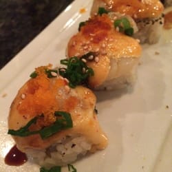 Aiko - Scallop Maniac