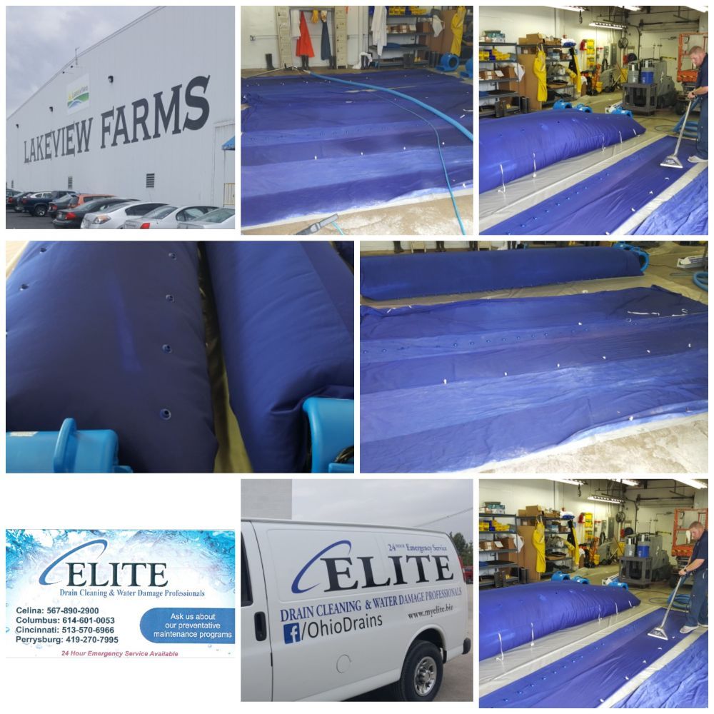 Slide of Elite Drain Cleaning & Water Damage Professionals